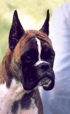 CH Pamela del Colle dell'Infinito