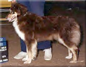 Fairoaks Sheba