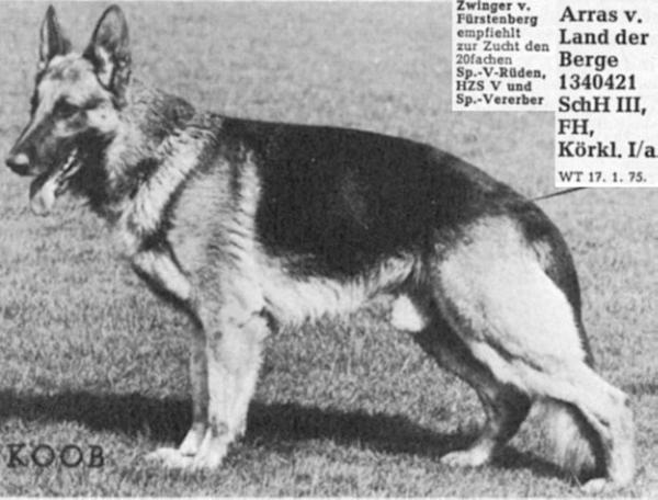 V Arras vom Land der Berge