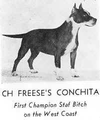 CH Freese's Conchita