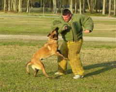 Princess Mirage Leif