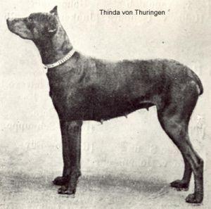 Thinda von Thuringen