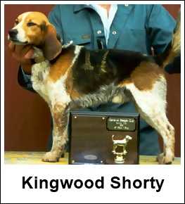 FTC Kingwood Shorty