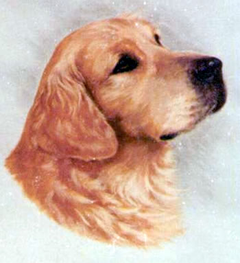 ENG CH Camrose Fantango