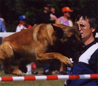 Ely des Loups Mutins