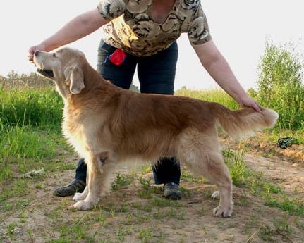 INT MULTI CH 8XCACIB Mr. Morris Staszel
