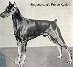 BIS Ch. Am. Ch. Singenwald's Prince Kuhio