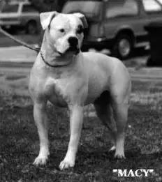 Hosfelt's Macy of K&J