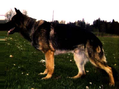 V Pedro vom Wasserrad