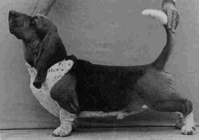 Leifland's Just Like Daddy