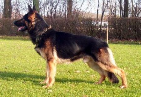 SCH3 Uso von der Schiffslache