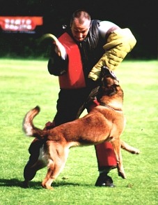 Dewi van Fort Oranje