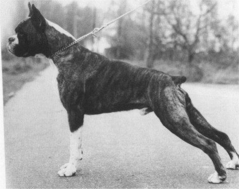 MULTI CH Fred van de Hazenberg