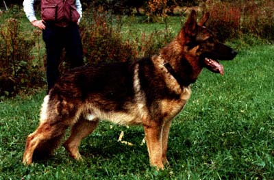 SG Basko von der Notburgahöhle