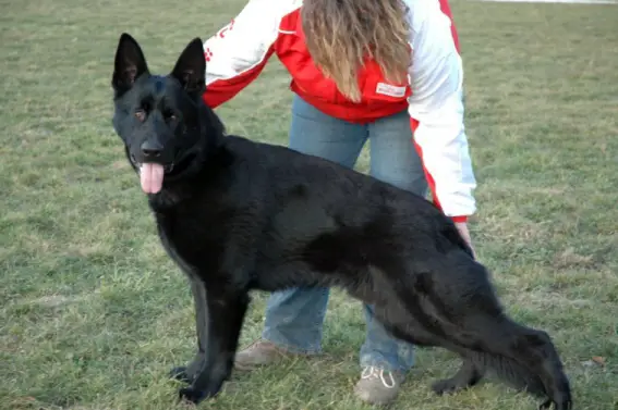 V Kosta vom Haus Iris