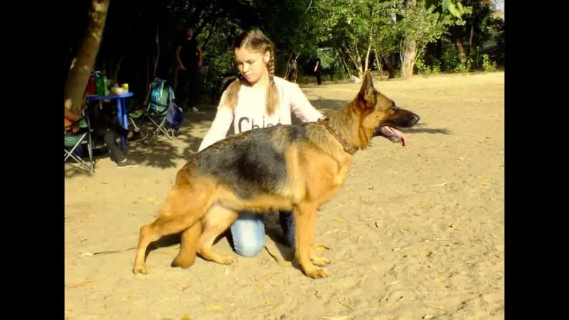 V ( RUS) Grand Astra Kristel`