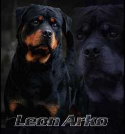 Leon Arko Von Lexus