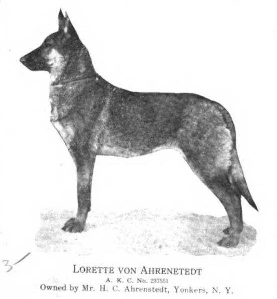 Lorette von Ahrenstedt (1917)