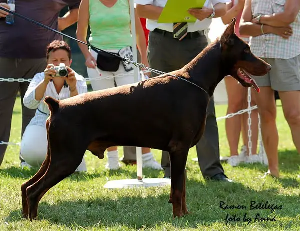 INT.CH, EUR.J.WINNER Ramon Betelges