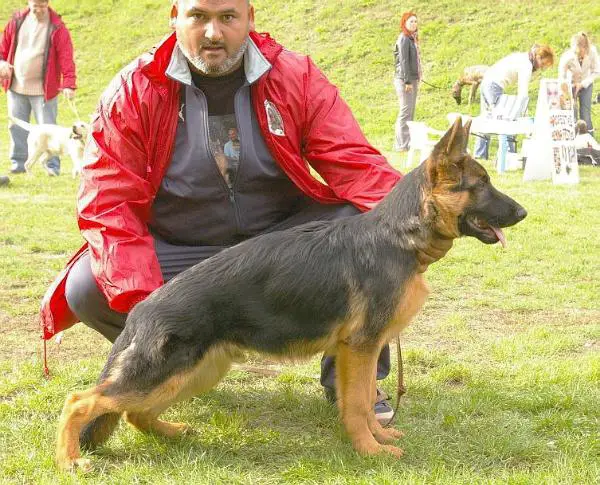 Omen von Team Milford