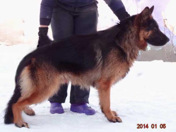 Kid vom Altenberger Land