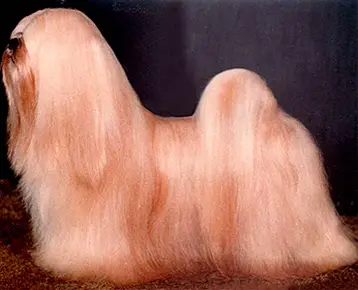 Orlane’s Inimitable