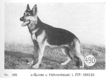 Quinta vom Hünenkessel