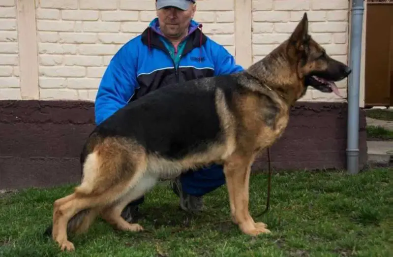 V-1 (Slovenia) Yonda Von Media