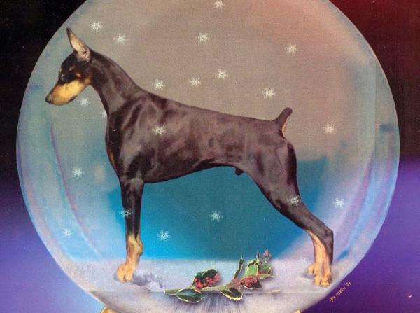 BIS BISS CH. Phillmar X-static