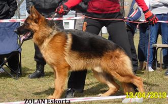 V Zolan Eskorta