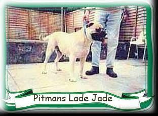 Pitman`s Lade Jade