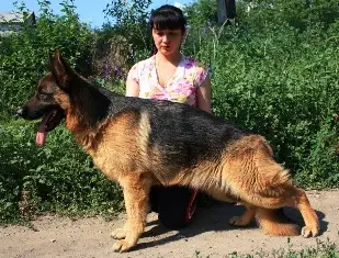 Dzholy von Osten Herz