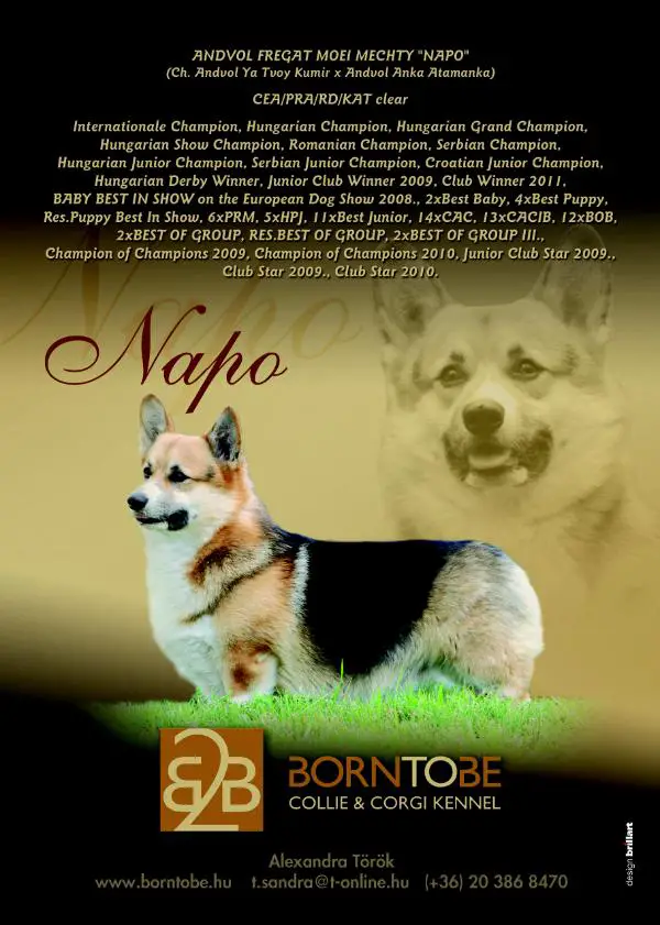 INT.CH., MULTI CH. Andvol Fregat Moei Mechty