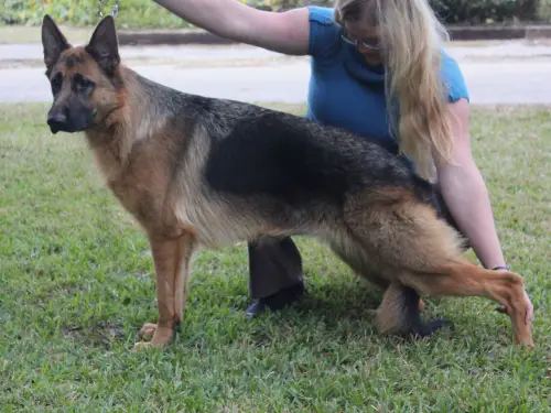 SG1 Kayleigh von Windmill