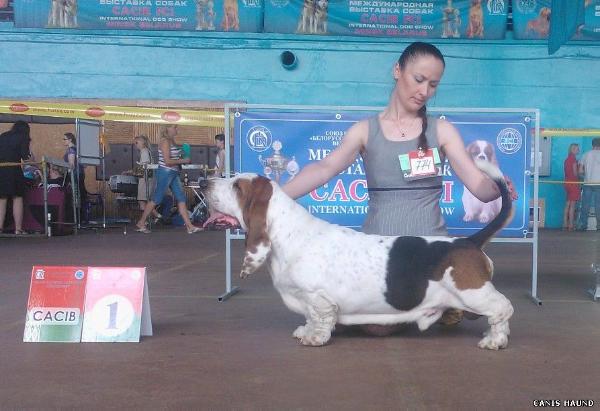 C.I.E. Zvezdochet Canis Haund