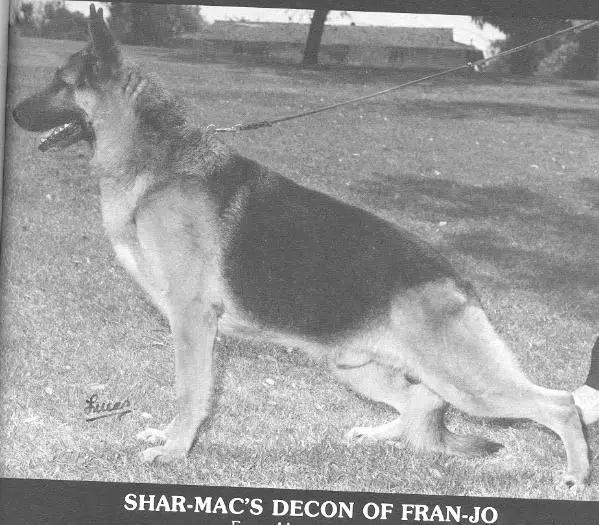 Shar-Mac's Decon of Fran-Jo