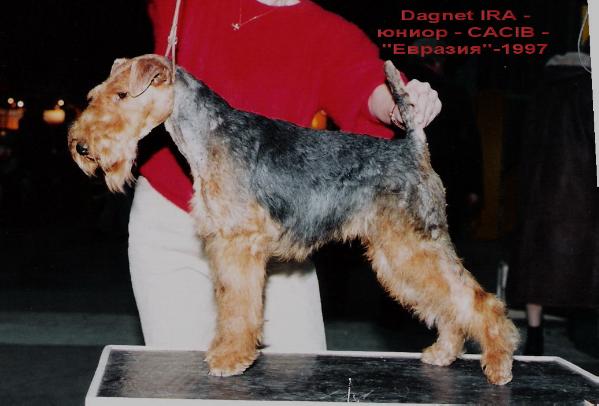 C.I.B., CH.RUS, GCH. Ira Dagnet