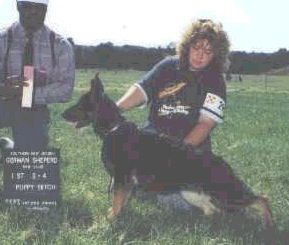 Woodhaven's Dark Decision