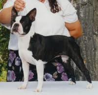 Argrae's Bit O'Irish Lace