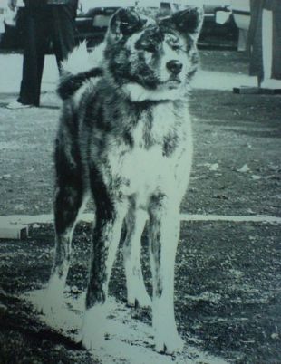 ISO NO TOUN GO Sakae Fudo Kensha