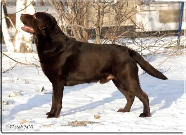 INT,CH RUS,KZ Beulahland'S old man of the mtn