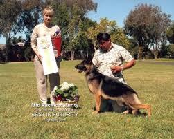 Rivendell-Chopae Rubasse