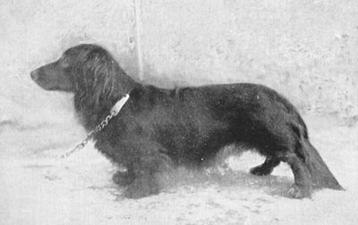 REICHS/SUCHENSIEGER Stropp von der Goldenen Perle