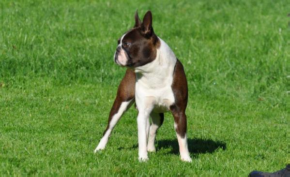 CH PL Washington DC Del Pons Aureoli