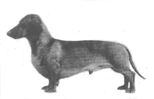 AM. CH Feri-Flottenberg