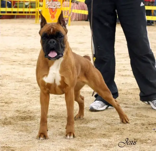 Rus la Fler Dulce Beso