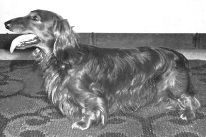 WS '73 Arras vom Wesertal