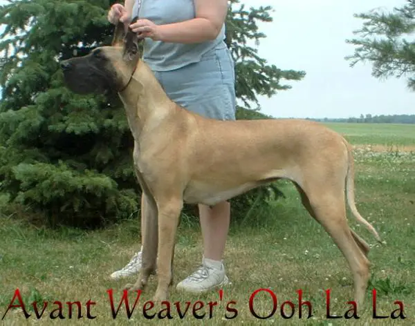 Avants Weaver's OOH La La