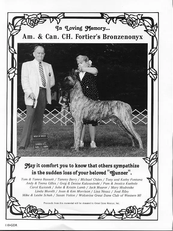 CH Fortier's Bronzenonyx