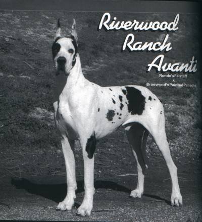 Riverwood Ranch Avanti